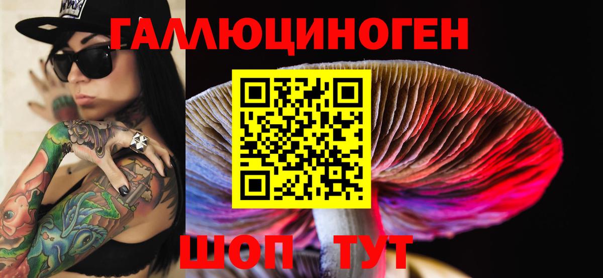 Белебей  Псилоцибиновые грибы Cubensis  Галлюциногенные грибы Psilocybe  Вход с VPN 