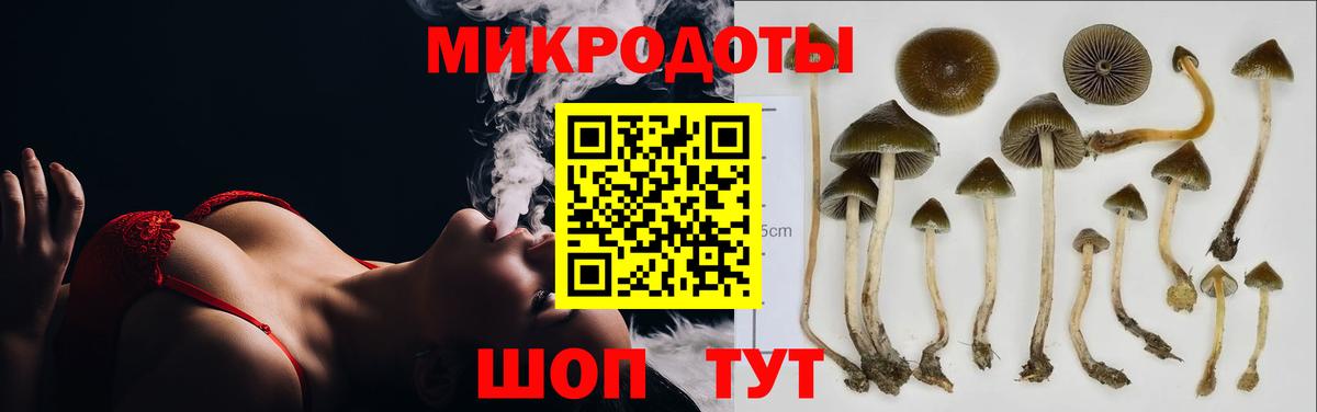 Галлюциногенные грибы прущие грибы Белебей